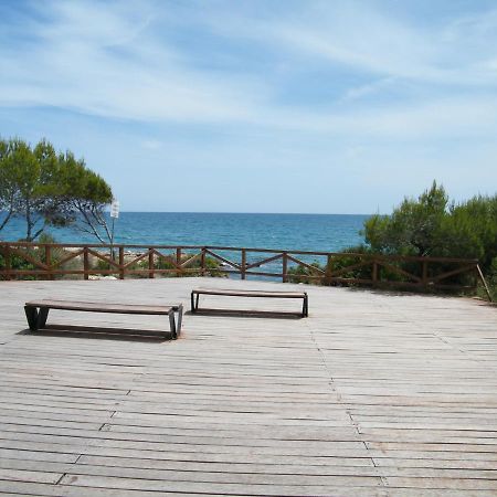 Apartamento Frente Al Mar En Alcossebre Daire Dış mekan fotoğraf