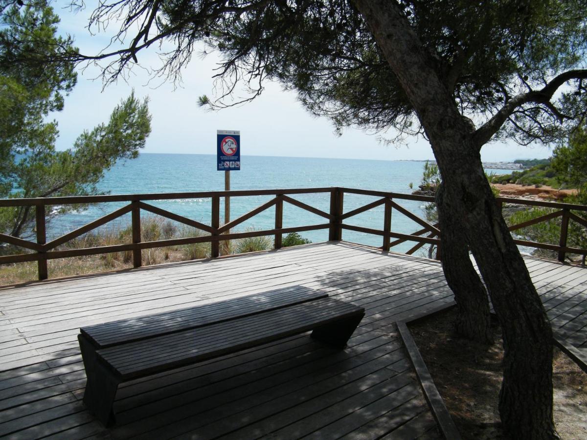 Apartamento Frente Al Mar En Alcossebre Daire Dış mekan fotoğraf